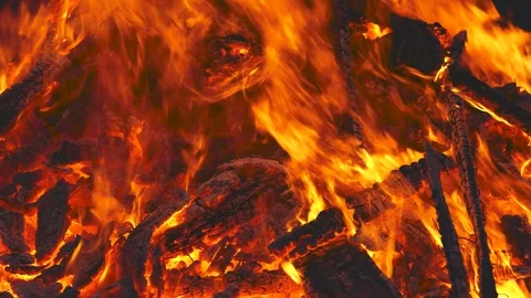 Fire close up Stock Footage 312526871