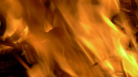 Fire. Close up of large flames, tilt down to burning leaves. No 2 Stock Footage 86647064