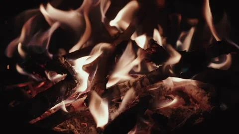 Fire close up night Stock Footage 299168555