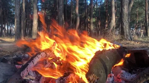 Fire close-up slow motion. Bonfire in the forest close-up. Log fire close-up Stock Footage 205411169