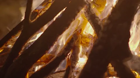 Fire close up in slow motion Vídeos de archivo 54241825