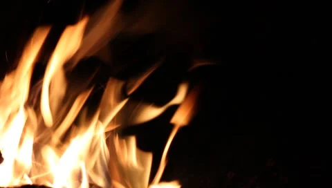 Fire closeup Stock Footage 4485325