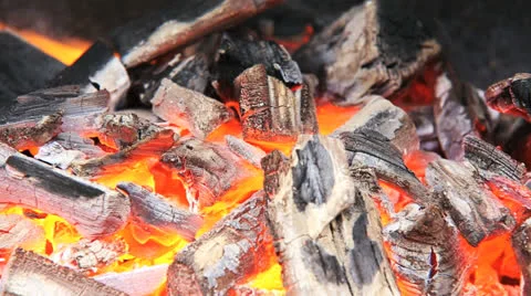 Fire Closeup Stock Footage 25492482