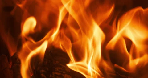 Fire Closeup Stock Footage 169936283