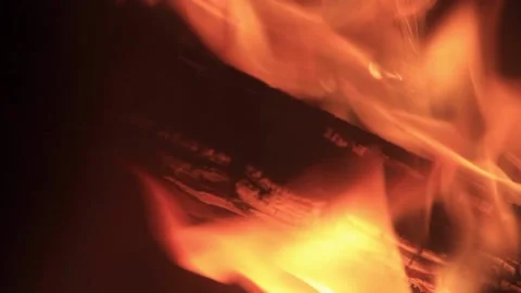 Fire, closeup of wood burning Stock Footage 238402572