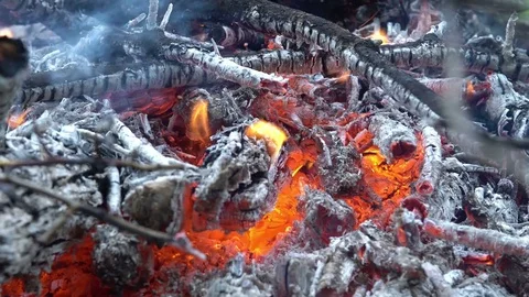 Fire coal 4k Stock Footage 79097316
