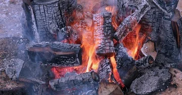 Fire Coal Burning Firewood Video stock 85669398