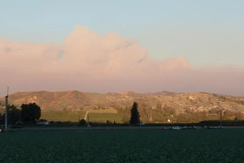 Fire Column Stock Photos