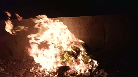 Fire coming out of wood burning outdoor Stock Footage 197069899