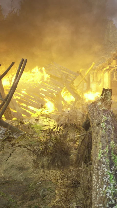 Fire consumes a structure in a forested area during daylight hours Stock Footage 334726942