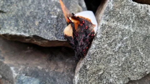 Fire Consuming Cardboard Surface with Dramatic Flames Video stock 333579755
