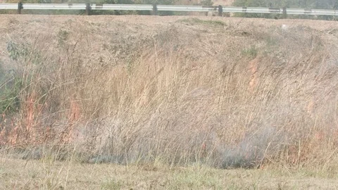 Fire consuming tall grass at the foot of a highway road barrier Stock Footage 84029230