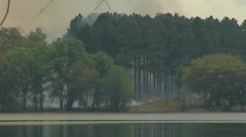 Fire, Controlled burn on lakeshore Stock Footage 23930801