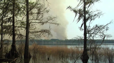 Fire on controlled burn on shore of North Florida Lake Stock Footage 23931460