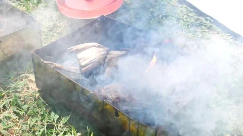 Fire for cooking or bbq, grill with charcoal. Vidéo 70187733