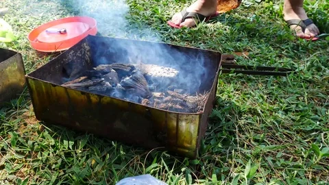Fire for cooking or bbq, grill with charcoal. Stock Footage 70188364