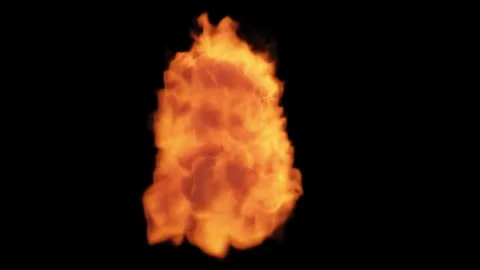 Fire In The Corridor Stock Footage Stock Footage 335345610