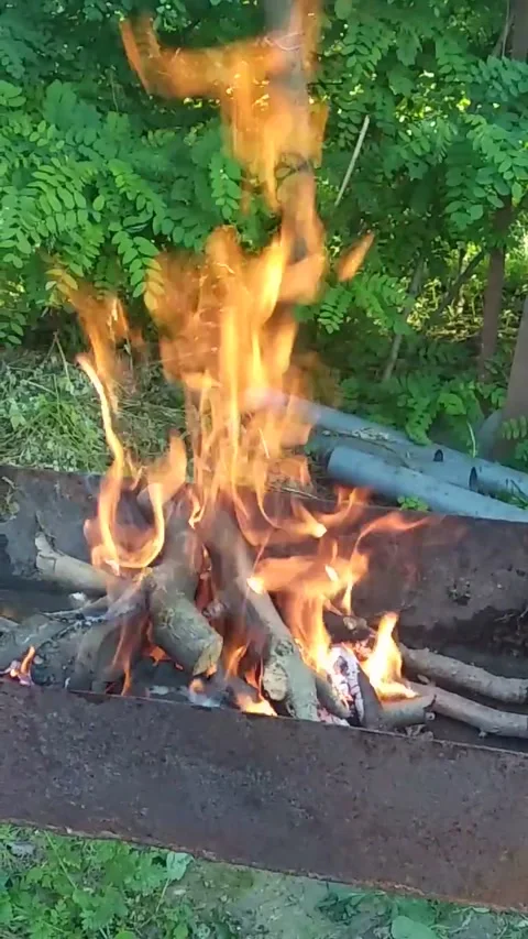 Fire crackle, fire bewitches Video stock 233992830