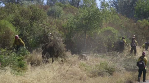 Fire crew clears roadway during Clayton Fire, Clearlake CA Stock Footage 72516966
