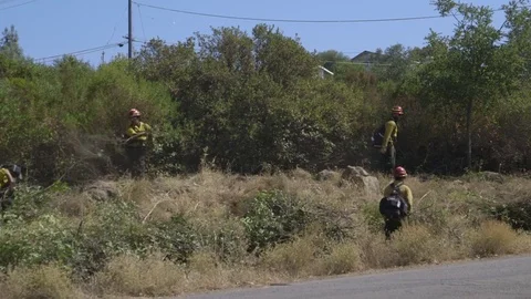 Fire crew clears roadway during Clayton Fire, Clearlake CA Stock Footage 72517018
