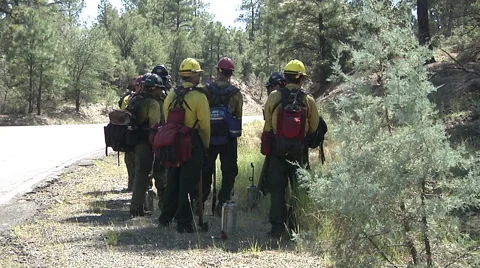 Fire crew planning their next move Stock Footage 59260216