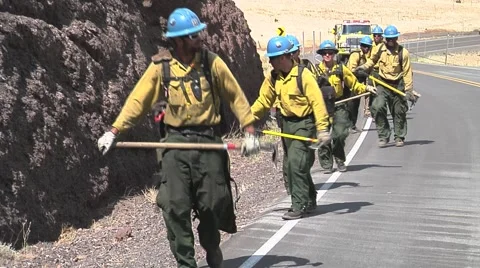 Fire crew walking in line along road Video stock 40751634