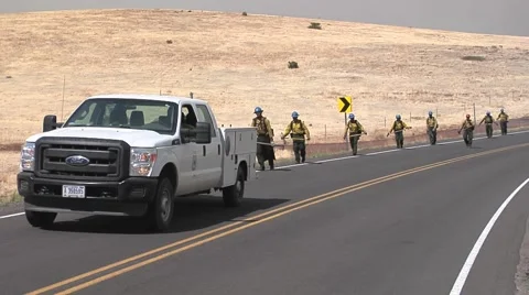 Fire crew walking in line along road Stock Footage 40752219