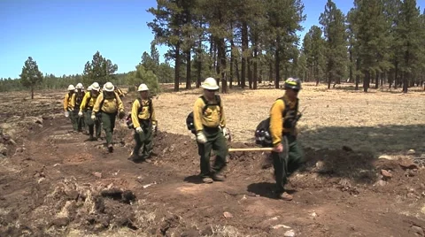 Fire crew walking in line along trail Stock Footage 40752497