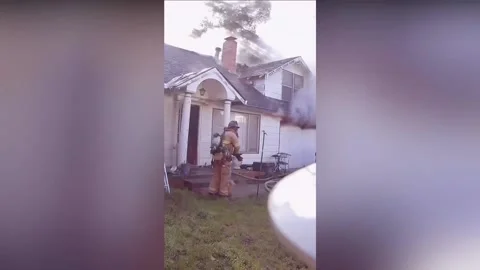 Fire Crews Rescue 70 Tiny Pomeranian Dogs And Several Cats From Burning Home... Stock Footage 231043223