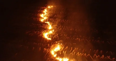 Fire crops 2 Stock Footage 95761368