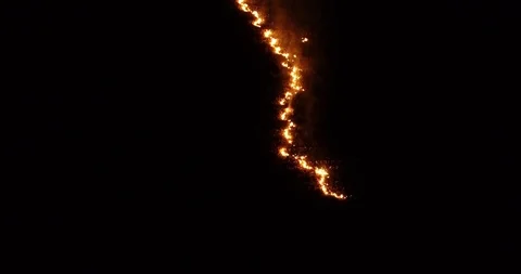 Fire crops, corn field Stock-Footage 95762144