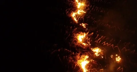 Fire in crops field Stock-Footage 95761561