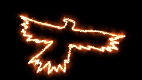Fire Crow Stock-Footage 125467499