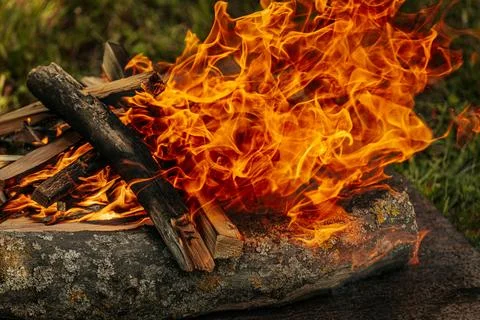Fire dancer. The fire dances. Tall bonfire burning intensely with orange flames Fotos Stock