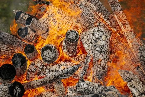 Fire dancer. The fire dances. Tall bonfire burning intensely with orange flames Stock Photos