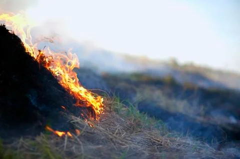 Fire dancing Stock Photos