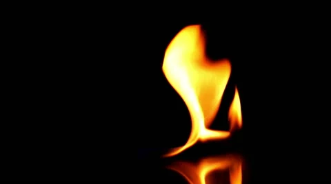 Fire on dark background Stock Footage 44356227