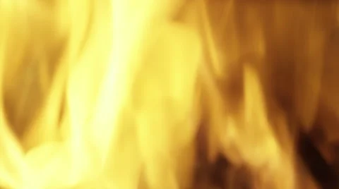 Fire on a dark background. Stock Footage 51608225