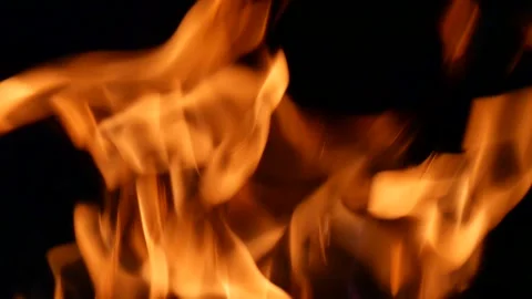 Fire in the dark. Firepit, fireplace, on fire Video stock 160384458