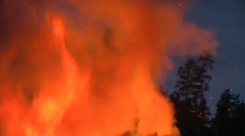 Fire with dark trees Video stock 836638