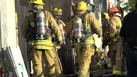Fire Department Responding to burning building &amp; rescuing animals Video stock 209719197