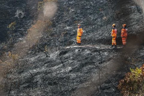 Fire destroys 3,000 hectares of forest in northern Colombia, Abrego - 08 Sep 202 Stock Photos