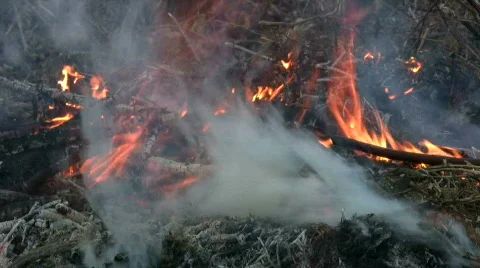 Fire destruction Stock Footage 282623