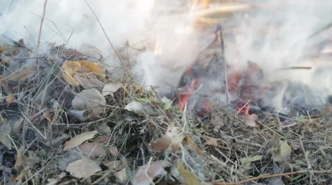 Fire destruction Видео 44271685