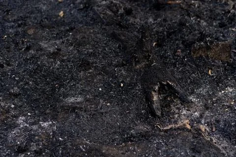 Fire destruction Stock Photos