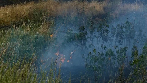 Fire devours green grass giving off smoke 스톡 동영상 109058182