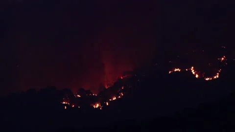 Fire disaster is burning the forest caused by humans Stock Footage 133203436