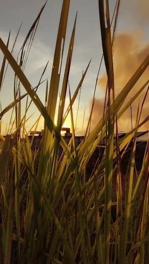 Fire disaster Stock Footage 291378694