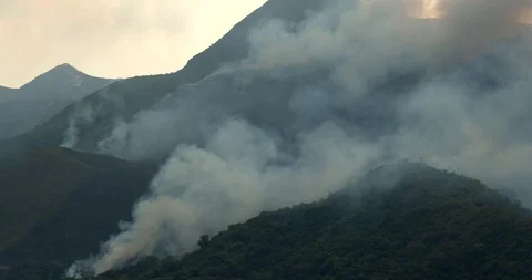 Fire disaster on mountain Stock Footage 88555859