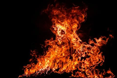 Fire dominates flame background. Fire shows blazing pattern. Fire rises wit.. Stock Photos